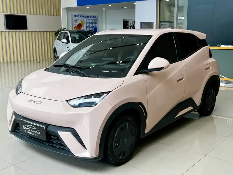 BYD Seagull, 2024