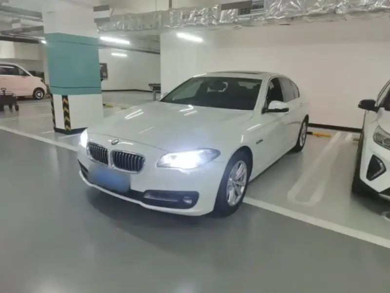 BMW 5 Series (Import), 2014