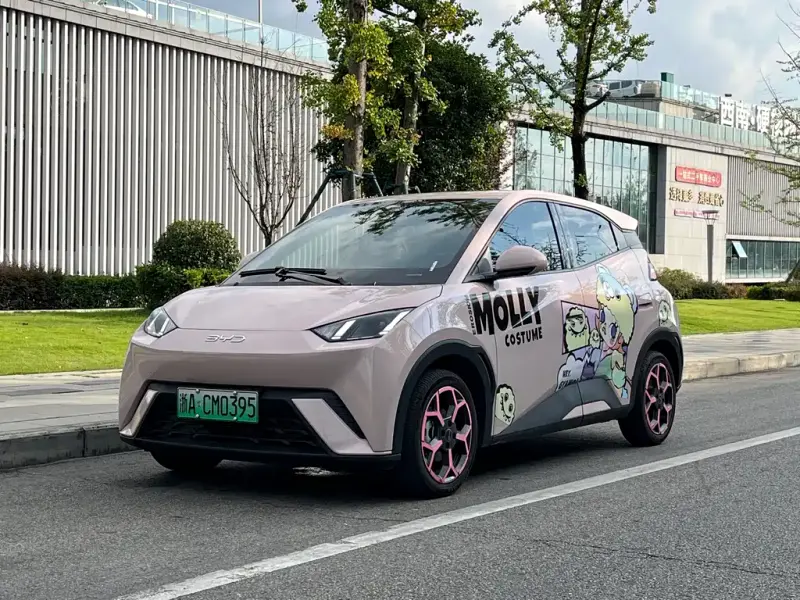 BYD Seagull, 2024