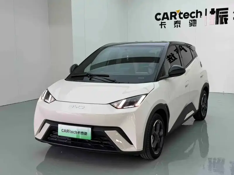 BYD Seagull, 2024