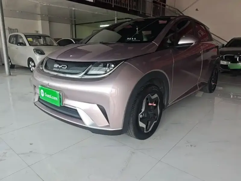 BYD Dolphin, 2022