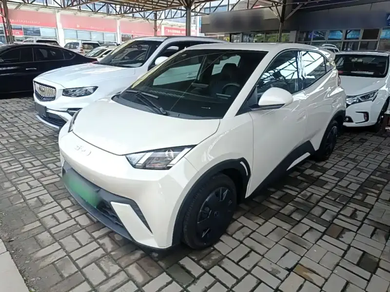 BYD Seagull, 2024