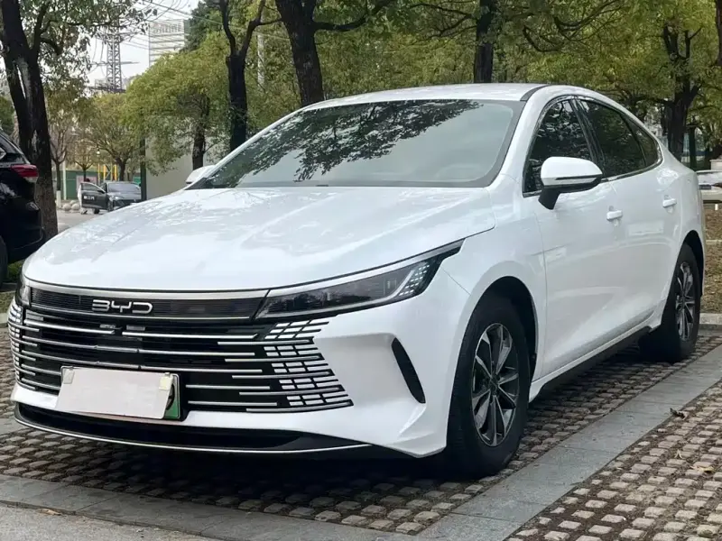BYD Destroyer 05, 2024