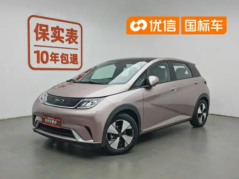 BYD Dolphin, 2023