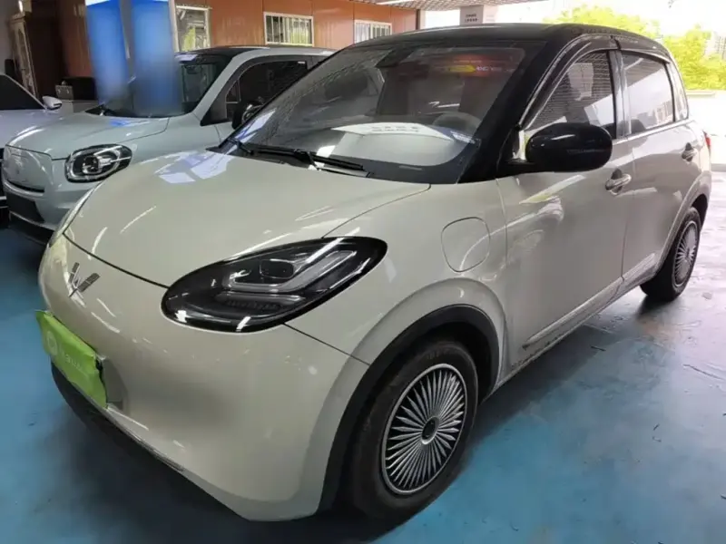 Wuling Bingo, 2024
