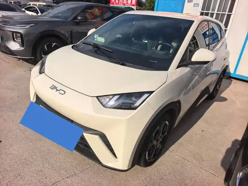 BYD Seagull, 2024