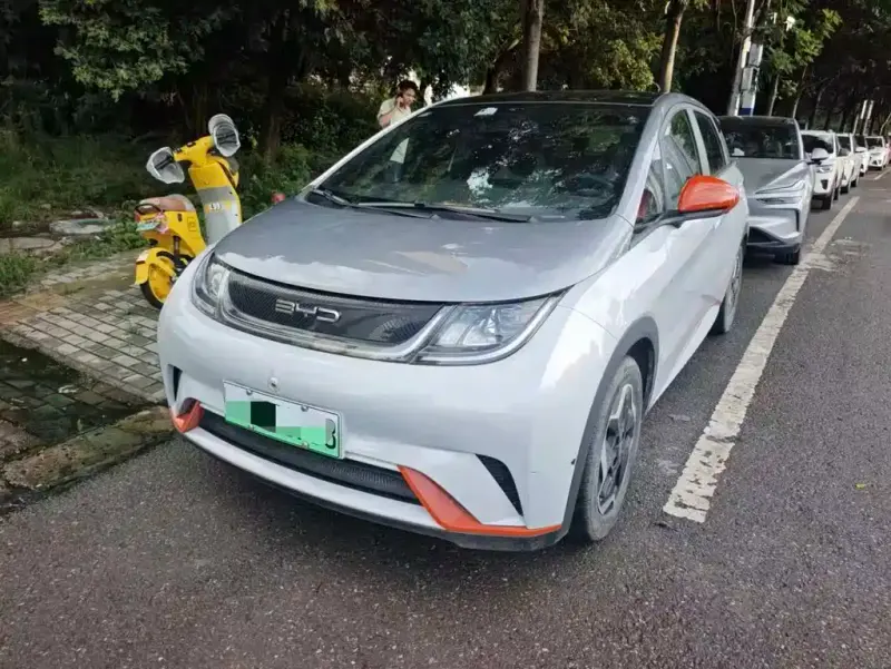 BYD Dolphin, 2022