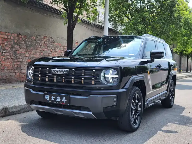 Haval Cool Dog, 2023