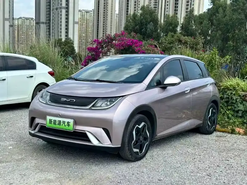 BYD Dolphin, 2023