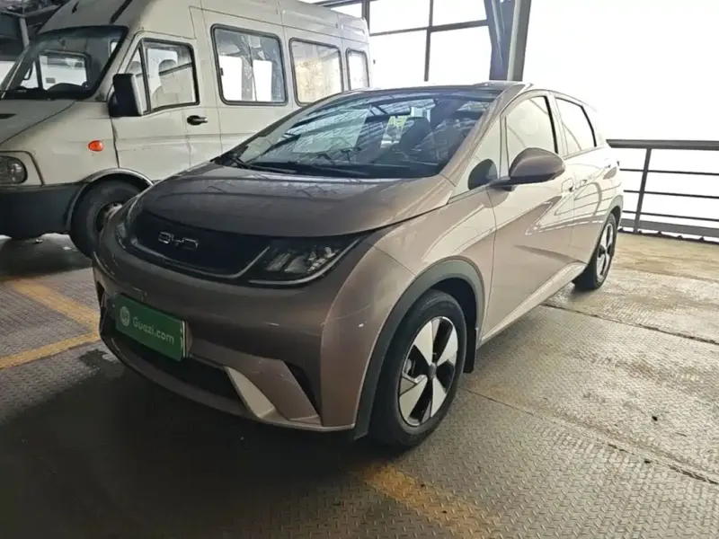 BYD Dolphin, 2023