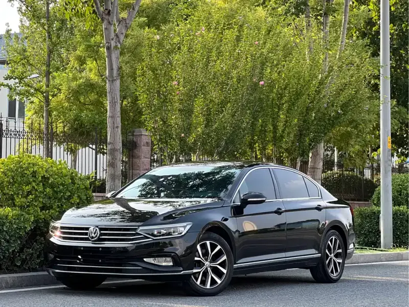 Volkswagen Magotan, 2020