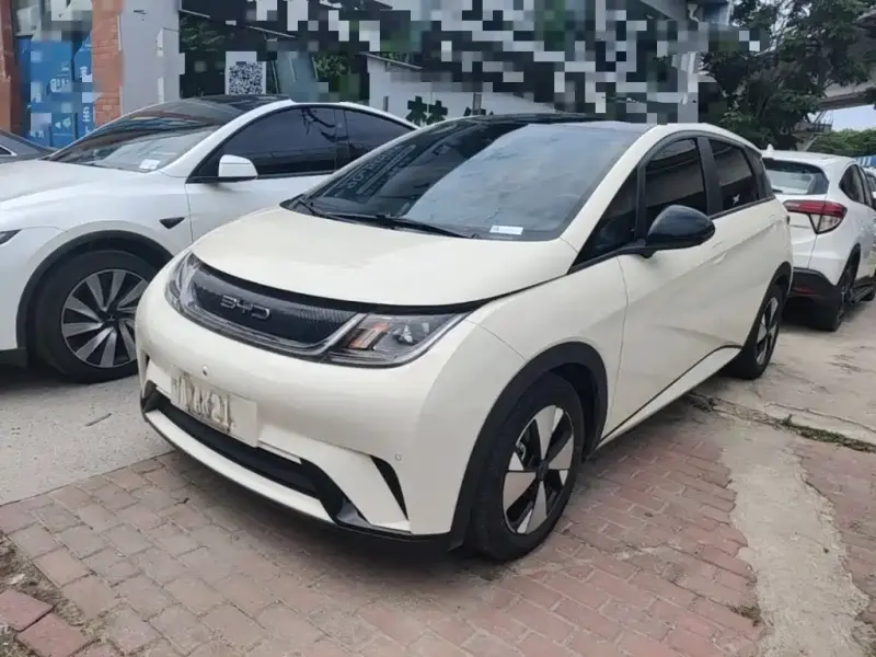 BYD Dolphin, 2023
