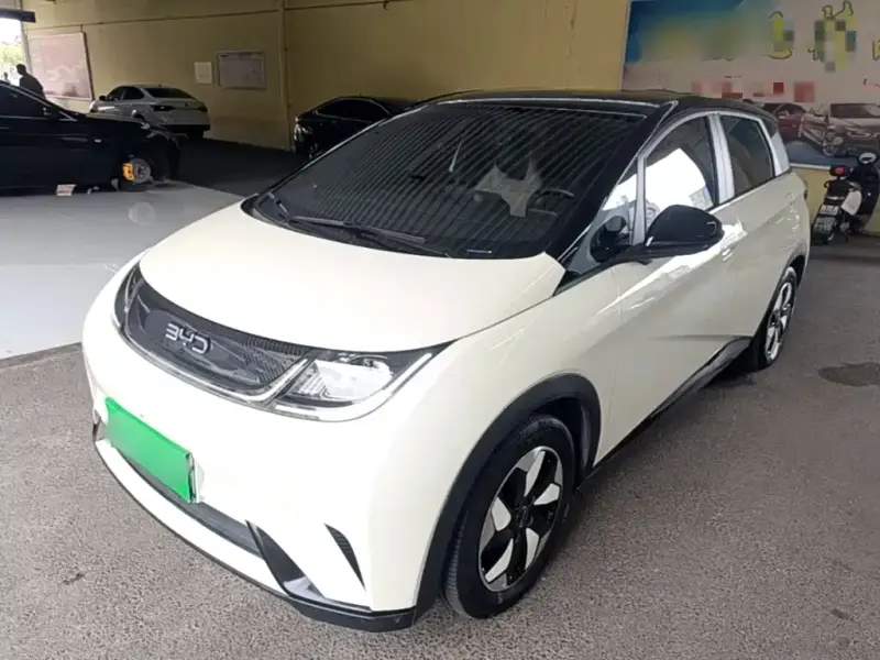BYD Dolphin, 2024