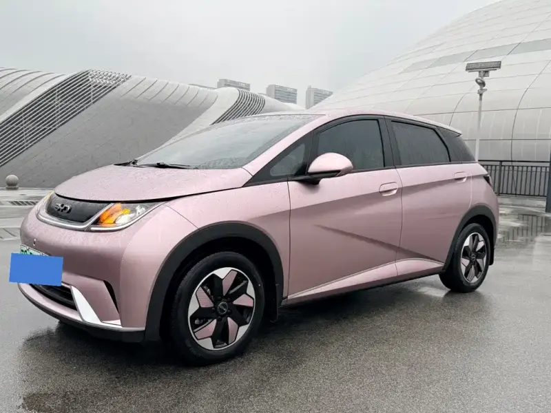 BYD Dolphin, 2025