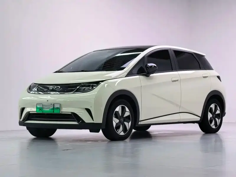 BYD Dolphin, 2024