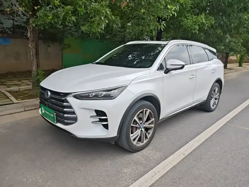 BYD Tang New Energy, 2020