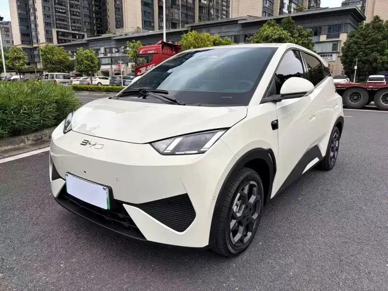 BYD Seagull, 2025
