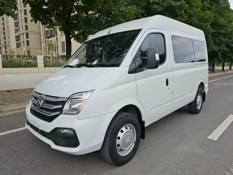 Maxus V80, 2024