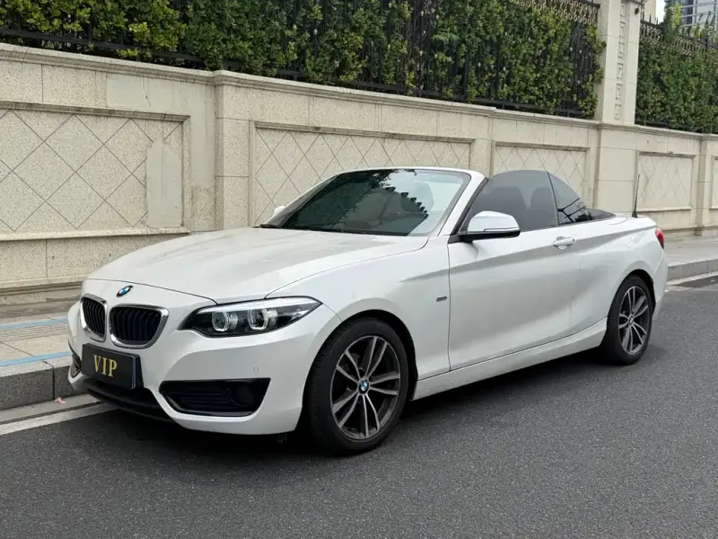 BMW 2 Series (Import), 2018