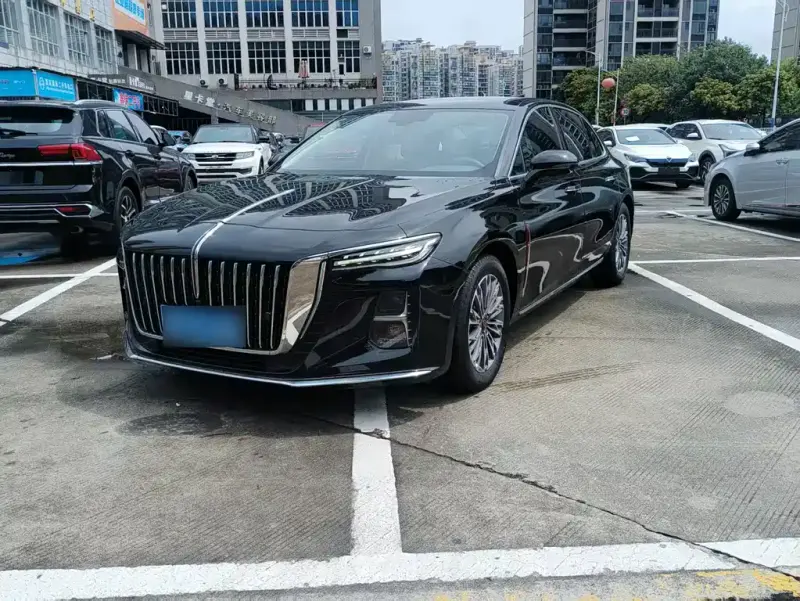 Hongqi H5, 2024