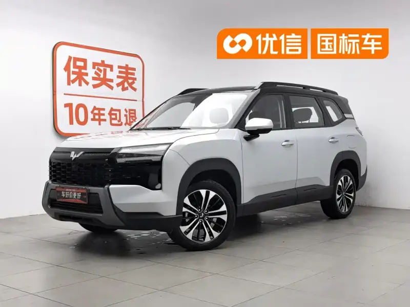 Wuling 560, 2025