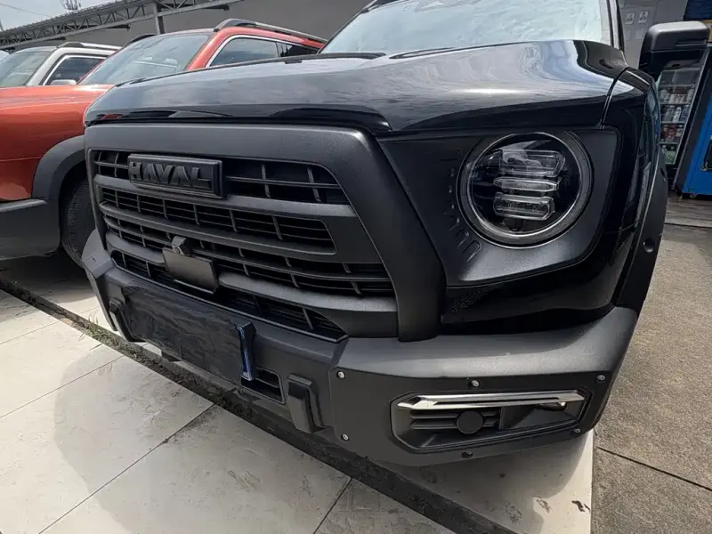 Haval Big Dog, 2024