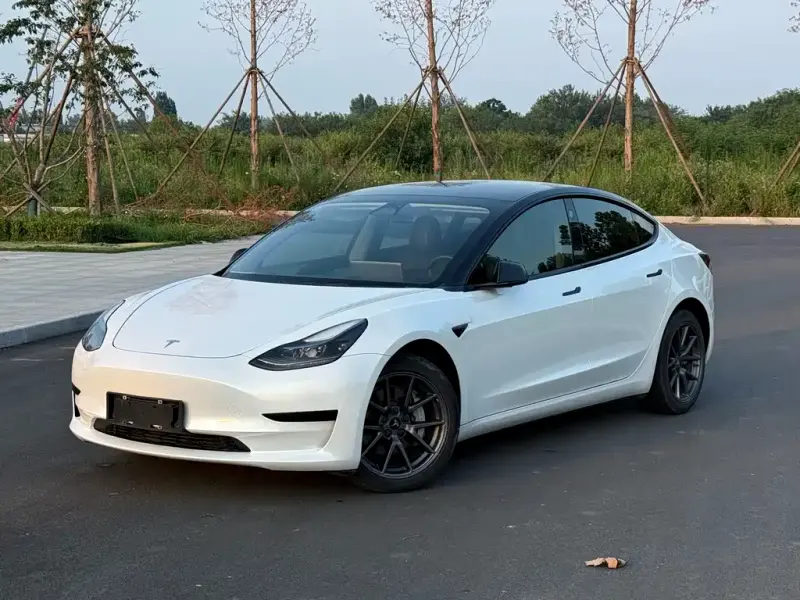 Tesla Model 3, 2021