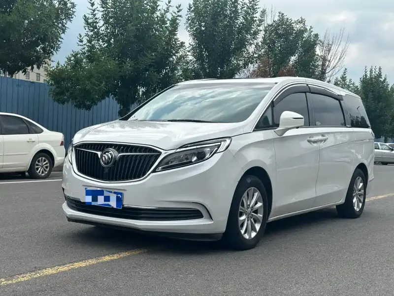 Buick GL8, 2019