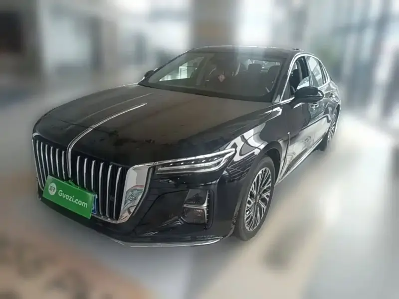 Hongqi H5, 2024
