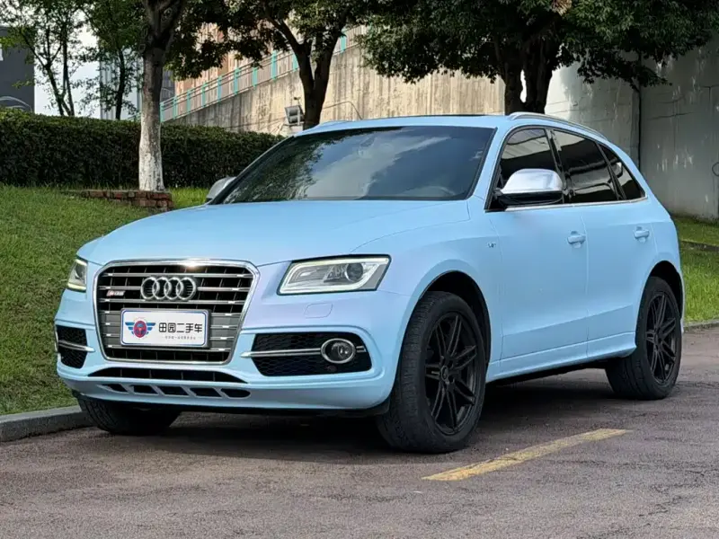 Audi SQ5, 2017