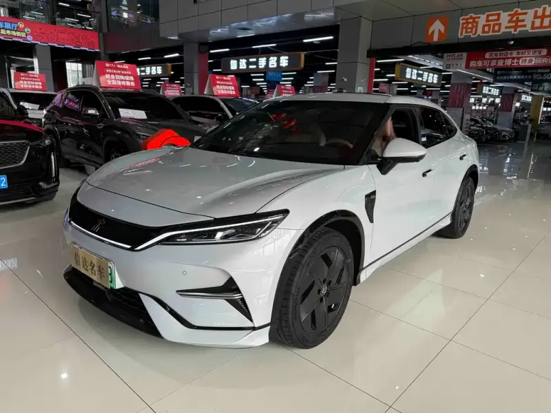 BYD L EV, 2024