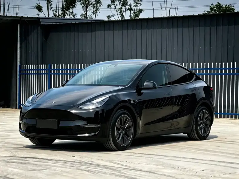 Tesla Model Y, 2021