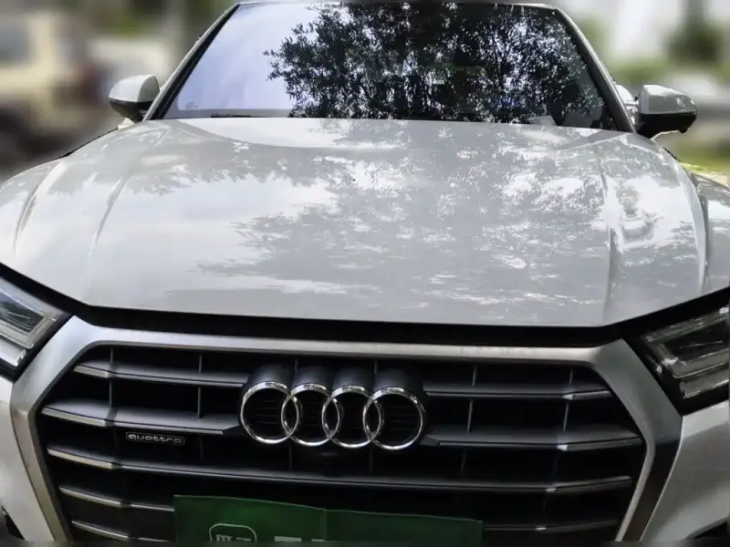 Audi Q5L, 2021