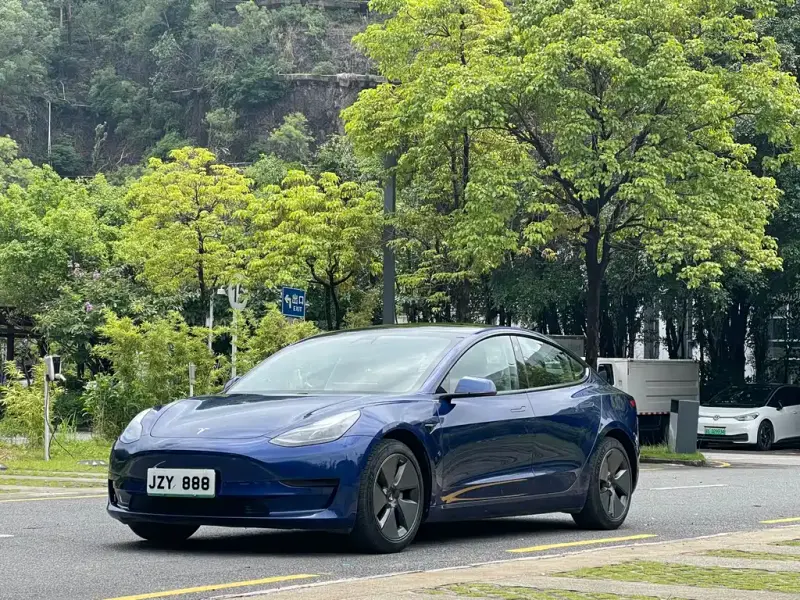 Tesla Model 3, 2021