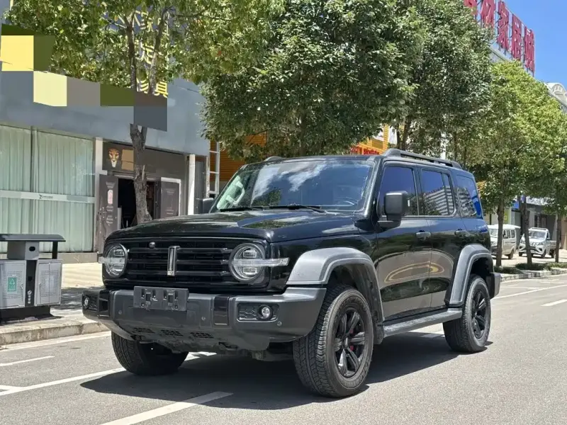 Tank 300, 2021