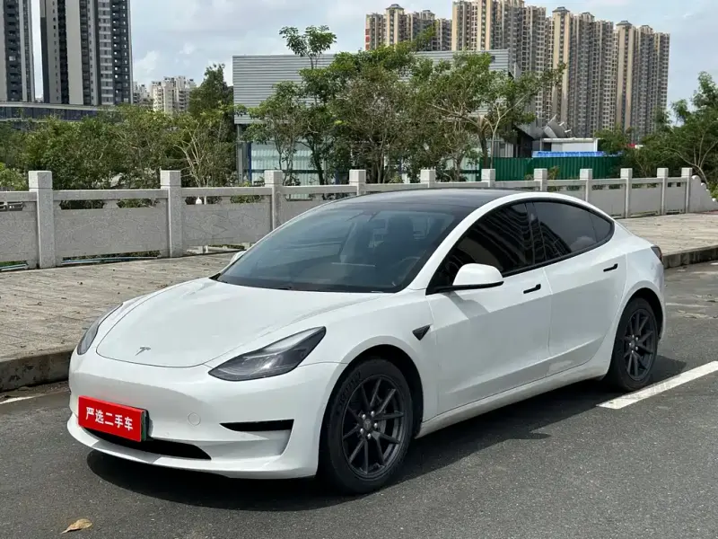 Tesla Model 3, 2021