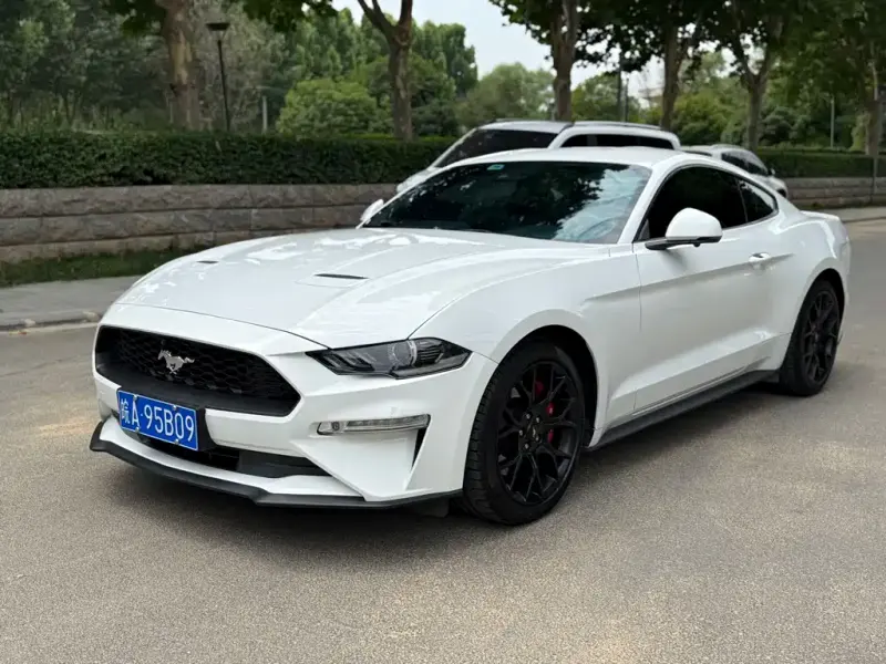 Ford Mustang, 2019