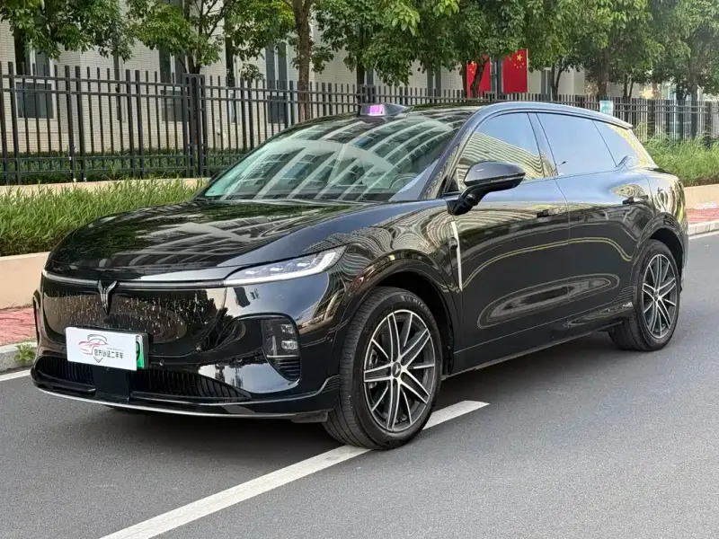 VOYAH Zhiyin, 2025