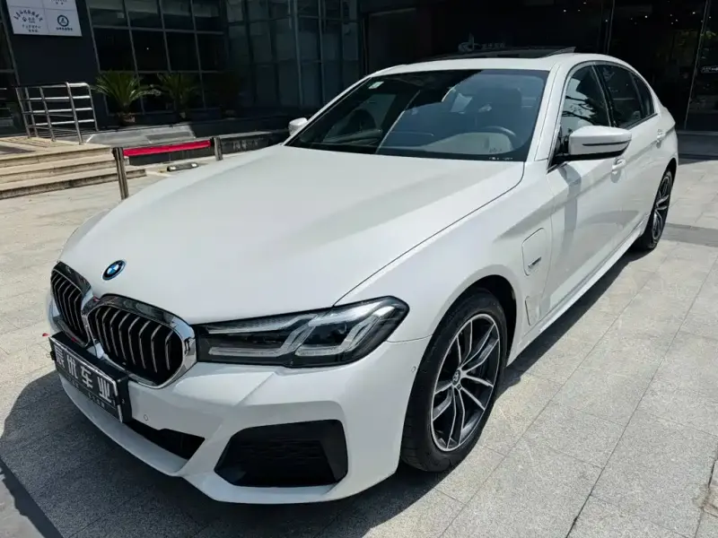 BMW 5 Series New Energy, 2021 — фото 1