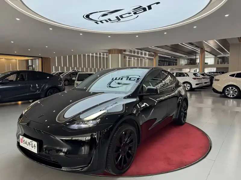 Tesla Model Y, 2023