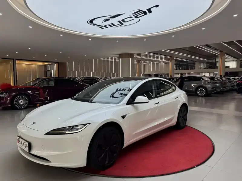 Tesla Model 3, 2025
