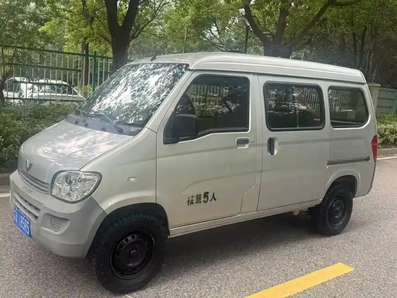 Wuling Zhiguang, 2019