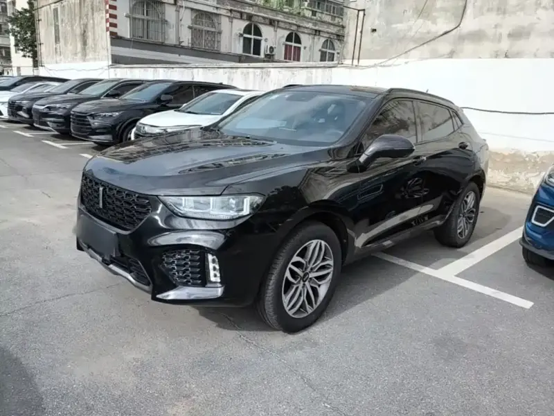 Wey VV5, 2018