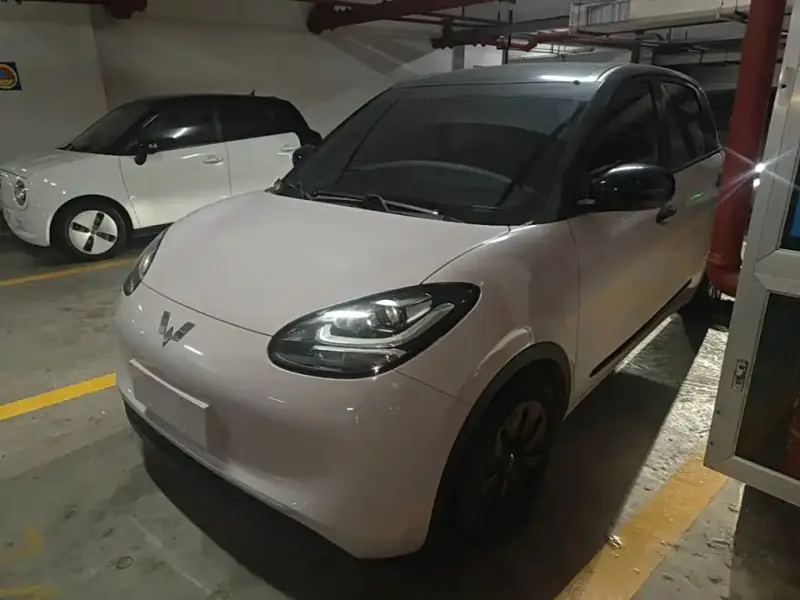 Wuling Bingo, 2024