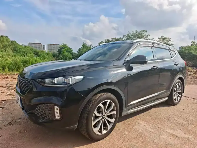 Wey VV6, 2019