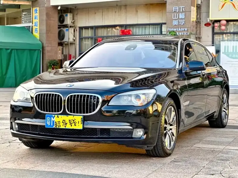 BMW 7 Series, 2009 — фото 1