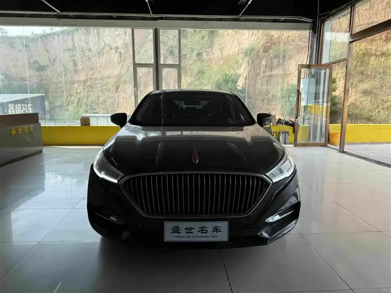 Hongqi H5, 2019