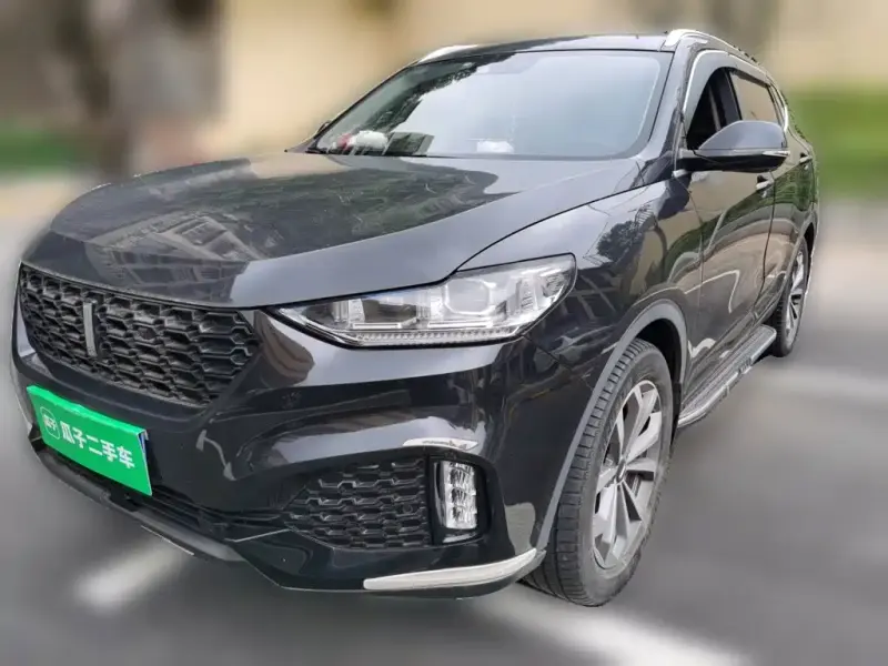 Wey VV6, 2019