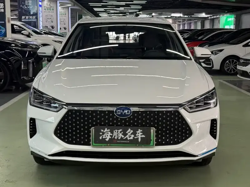 BYD e2, 2021