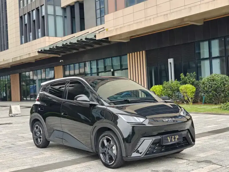BYD Seagull, 2023